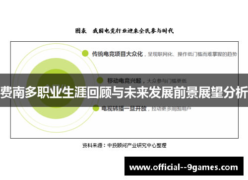 费南多职业生涯回顾与未来发展前景展望分析 费南多职业生涯回顾与未来发展前景展望分析